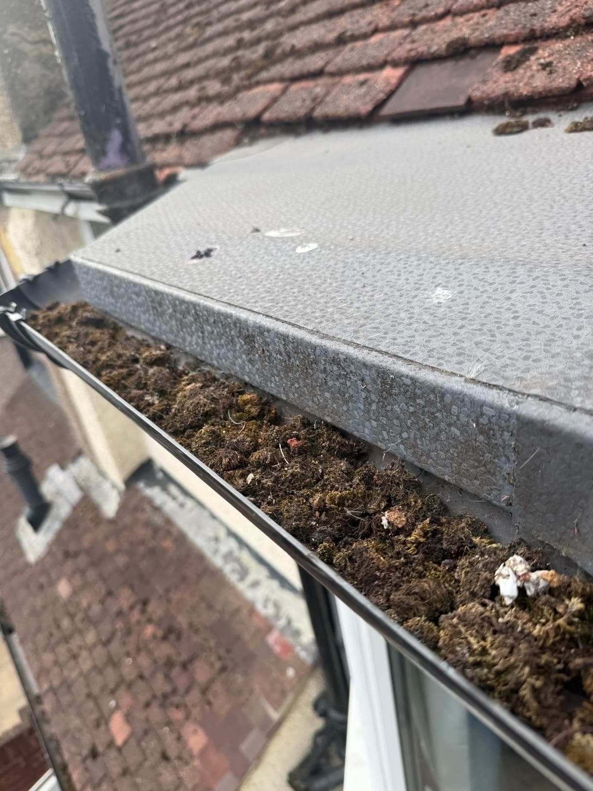 Blocked gutter — moss & debris